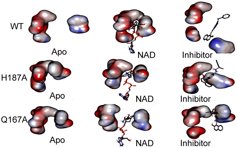 Figure 11