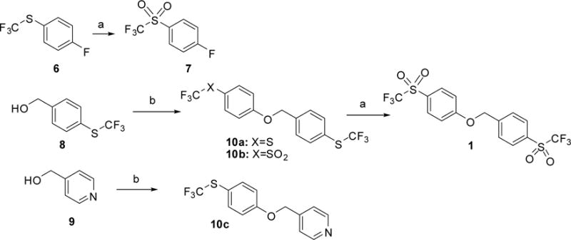 Scheme 2