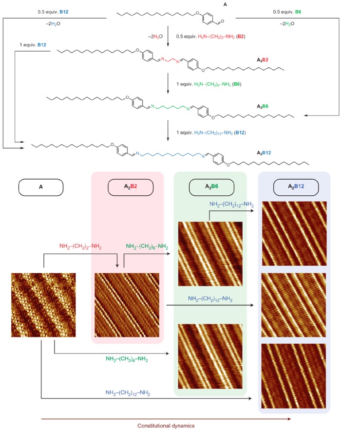 Figure 22