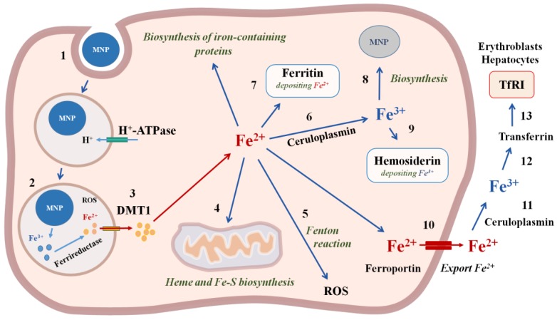 Figure 4