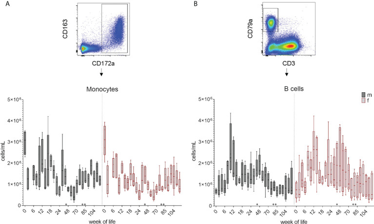 Figure 3