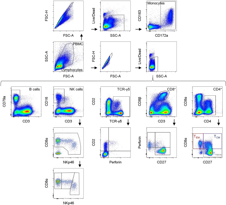 Figure 1