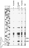 FIG. 3.