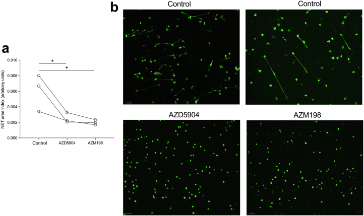 Figure 5