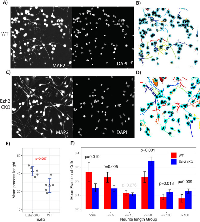 Figure 4: