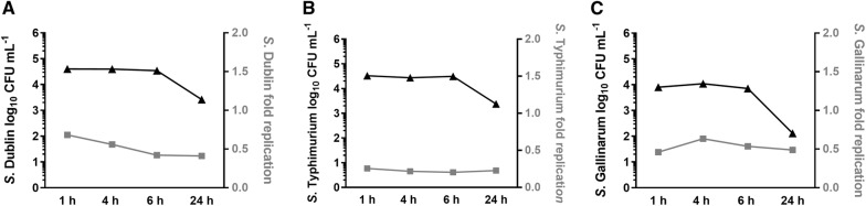 Figure 4