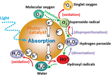 Figure 7