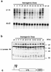 FIG. 1.