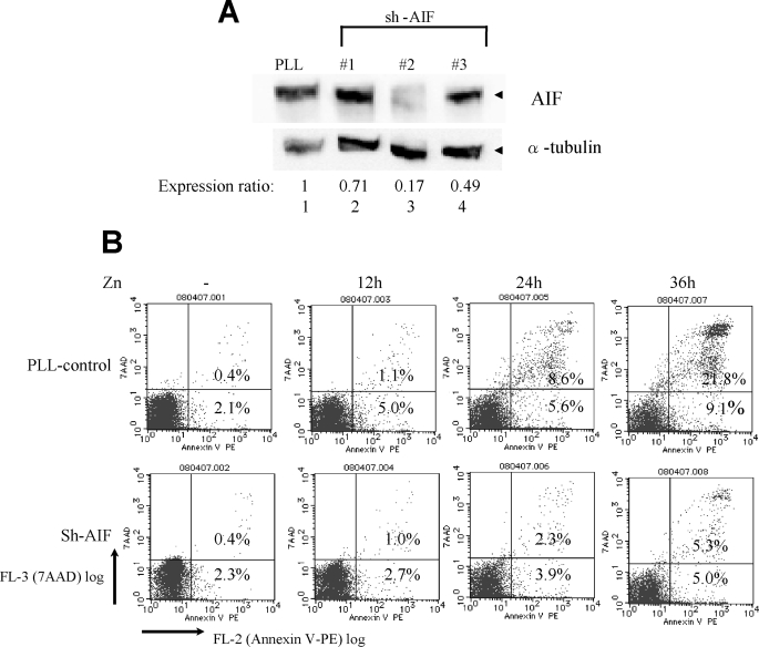 FIGURE 7.