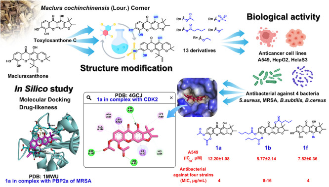 graphic file with name d5ra05758b-ga.jpg