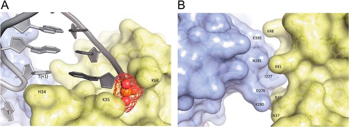 Figure 6.