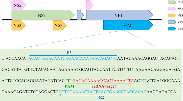 Figure 2