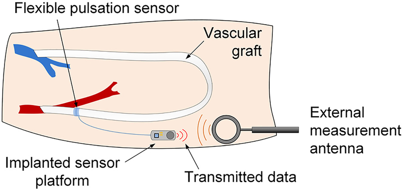 Fig. 1.