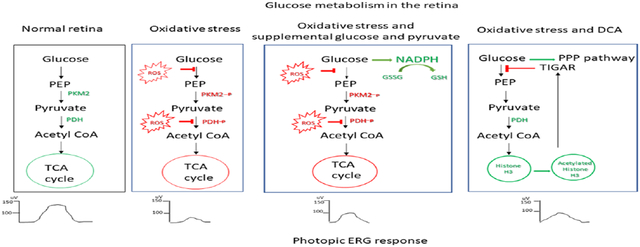 graphic file with name nihms-1782124-f0001.jpg