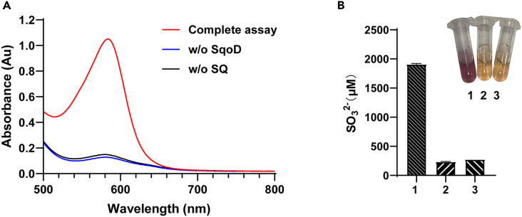 Figure 2