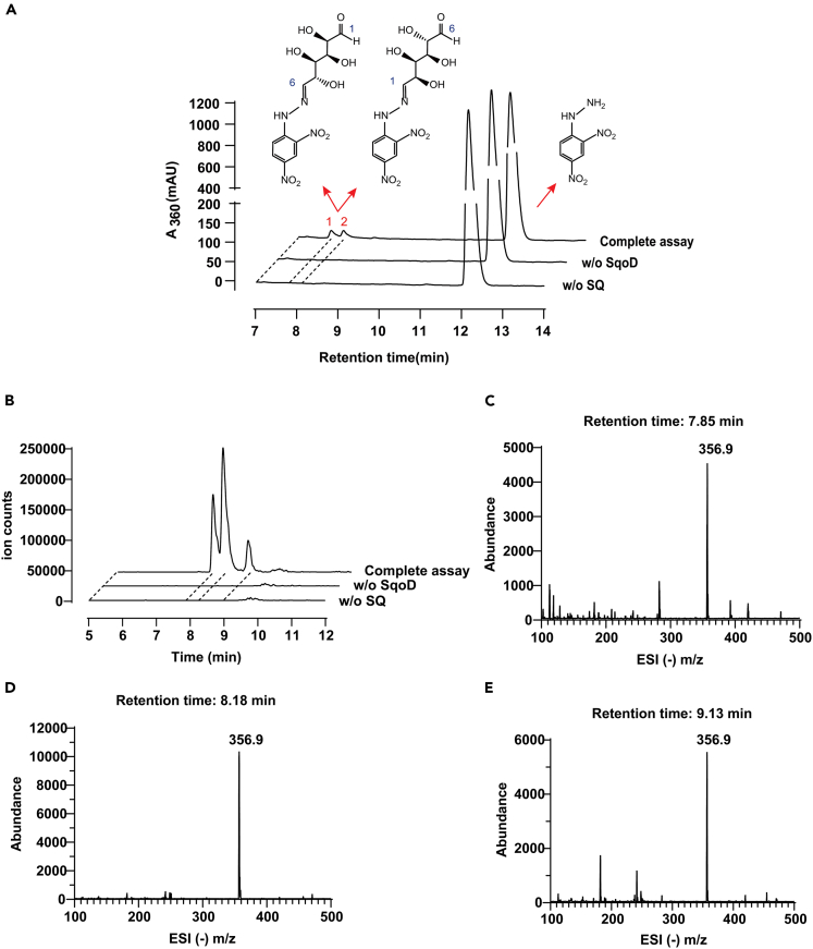 Figure 3