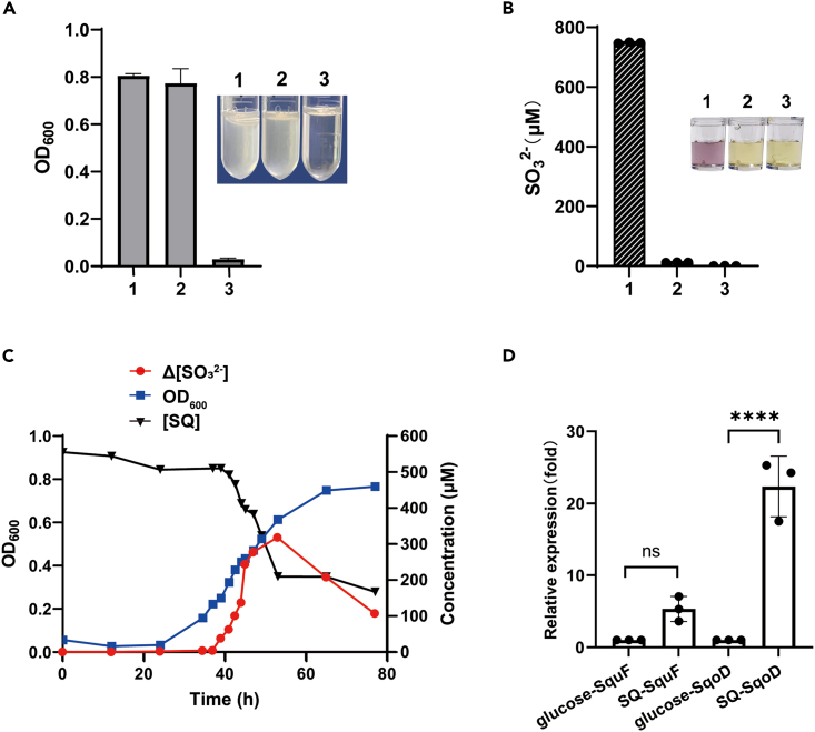 Figure 5