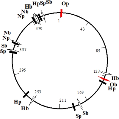 FIG. 3.