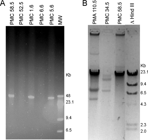 FIG. 1.