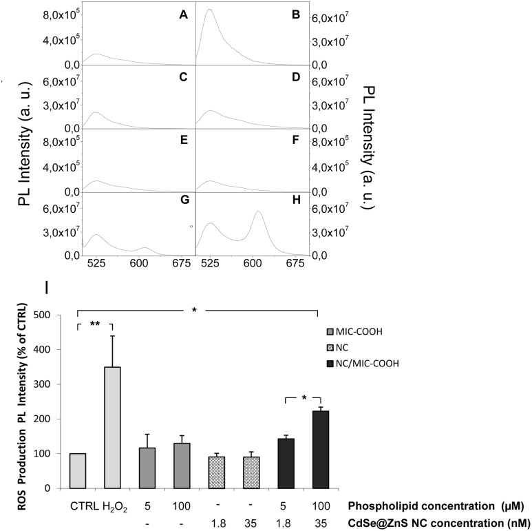 Fig 11