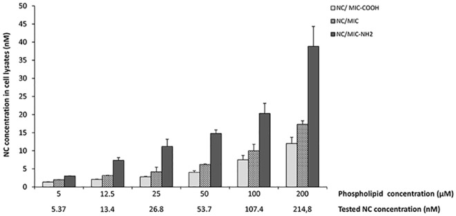 Fig 10