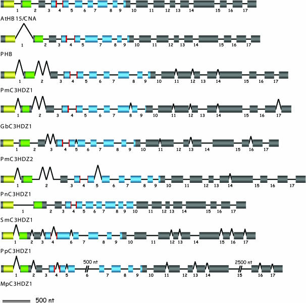 Figure 3.