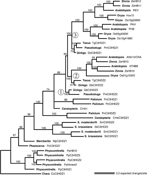 Figure 5.