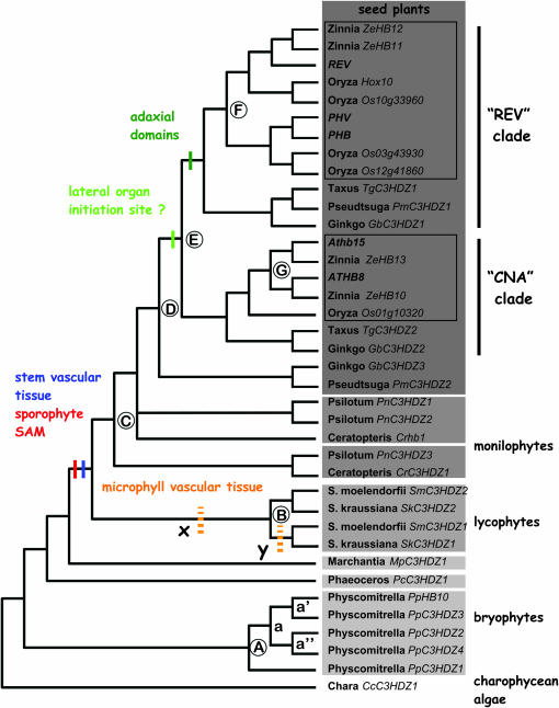 Figure 7.