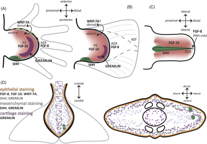 FIGURE 9