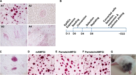 FIGURE 1.