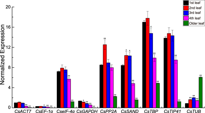 Figure 5