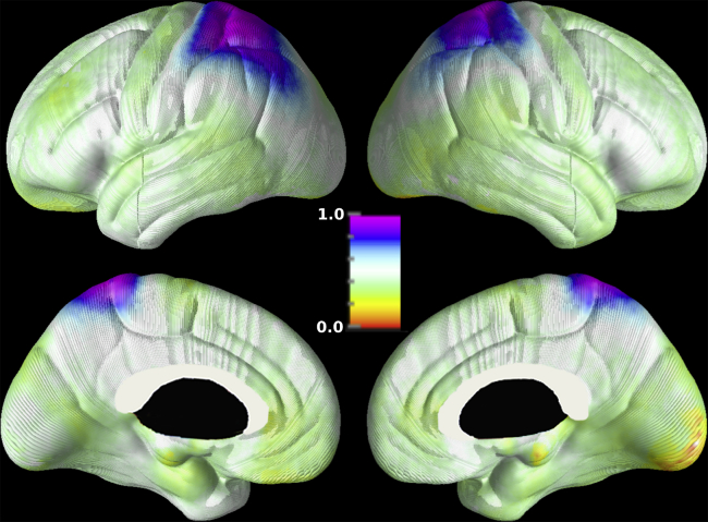 Fig. 1