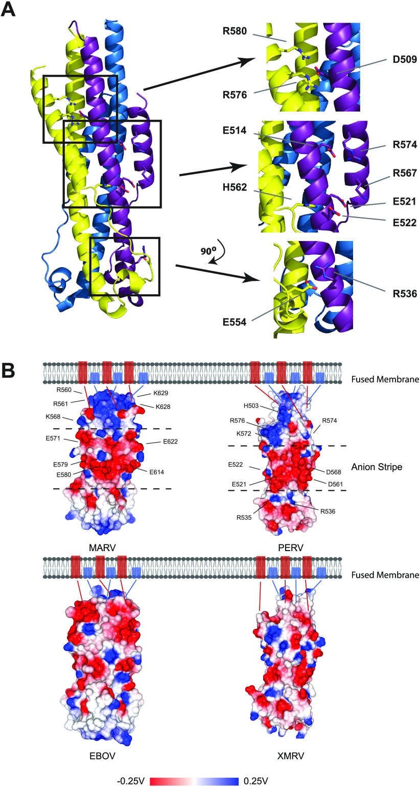 FIG 3