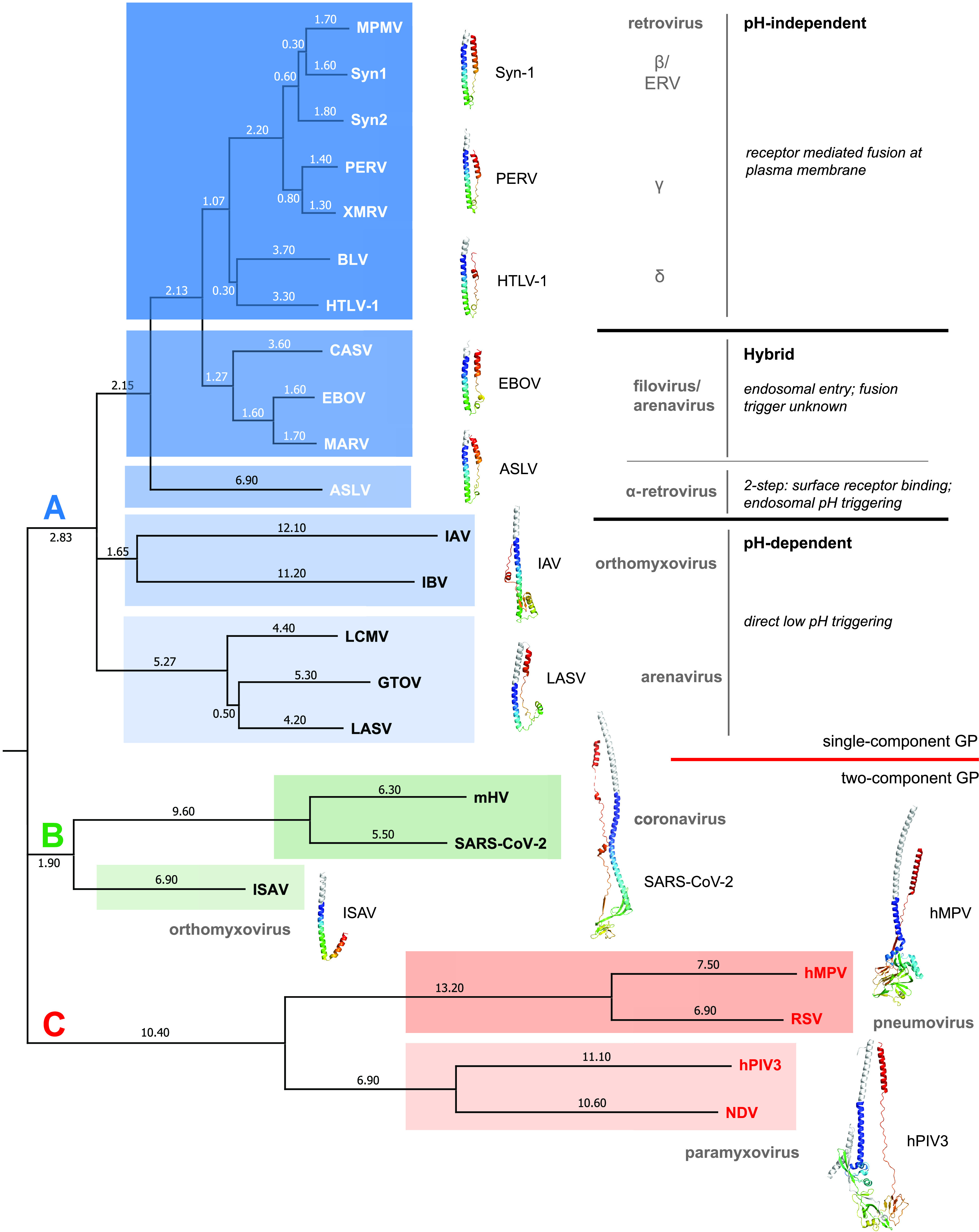 FIG 6