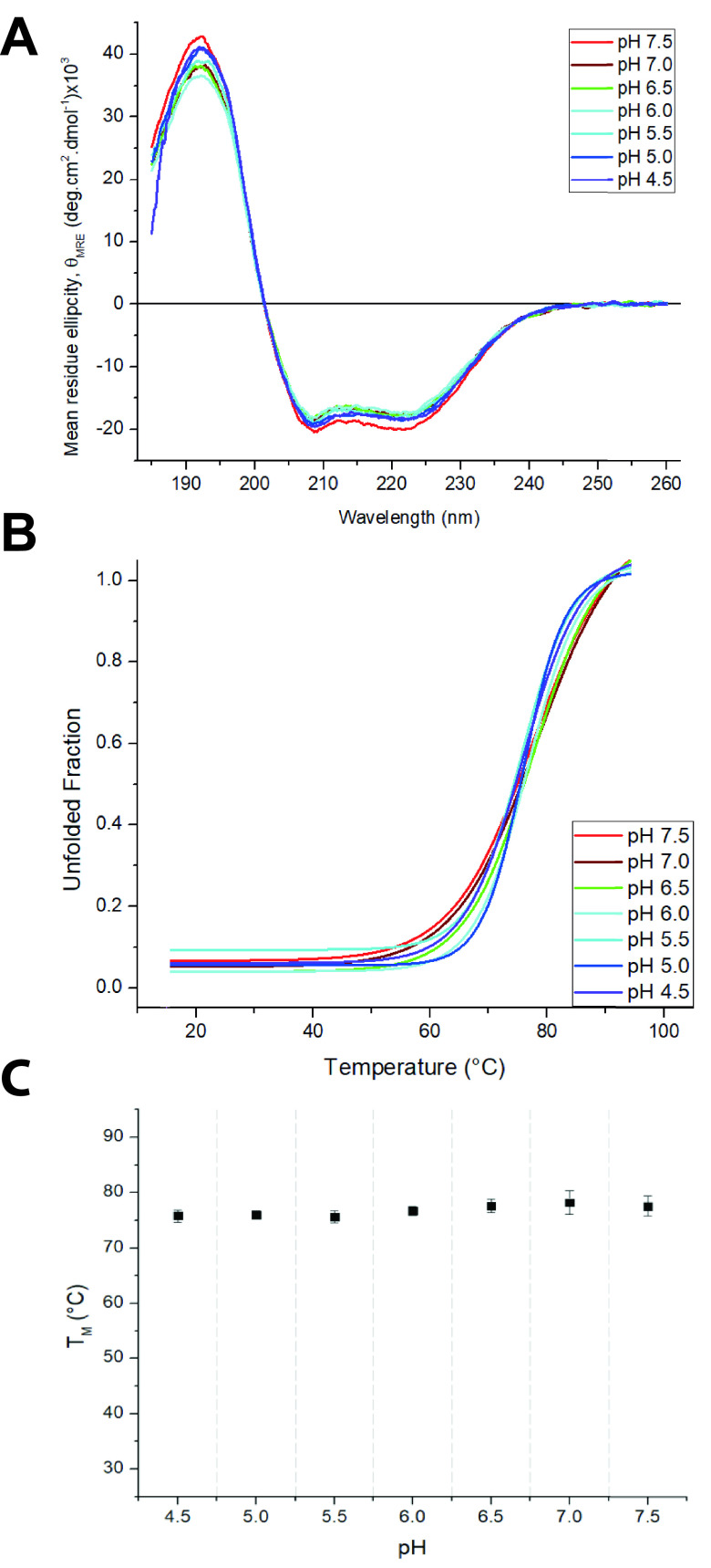 FIG 4