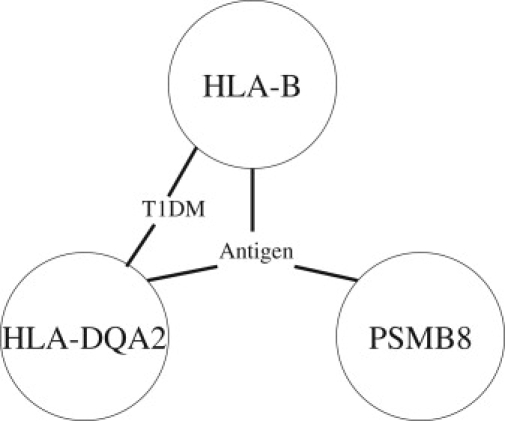 Figure 7