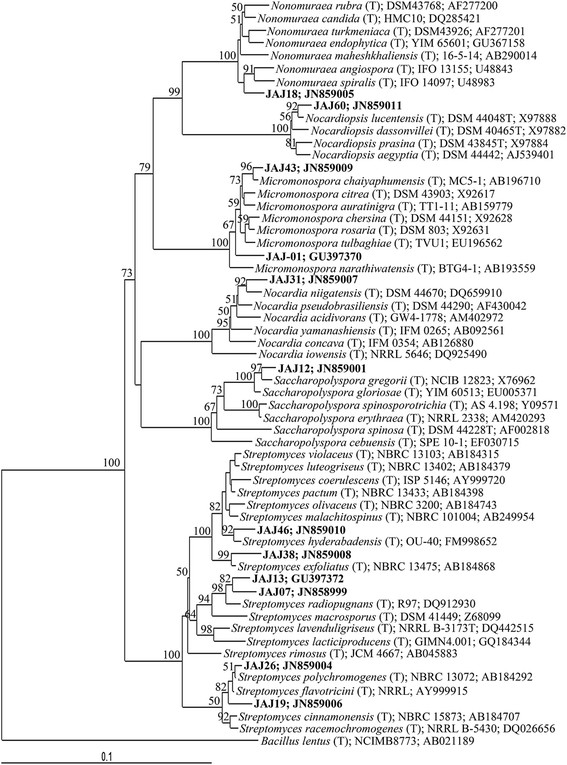 Figure 2 