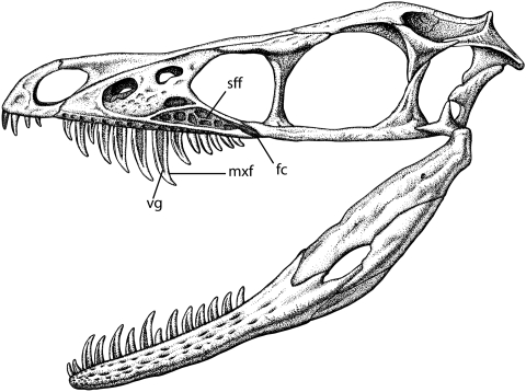 Fig. 1.