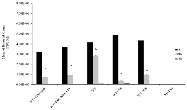 FIGURE 5