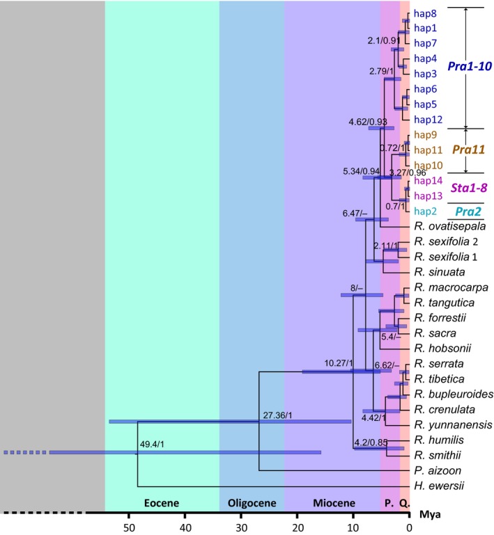 Figure 5