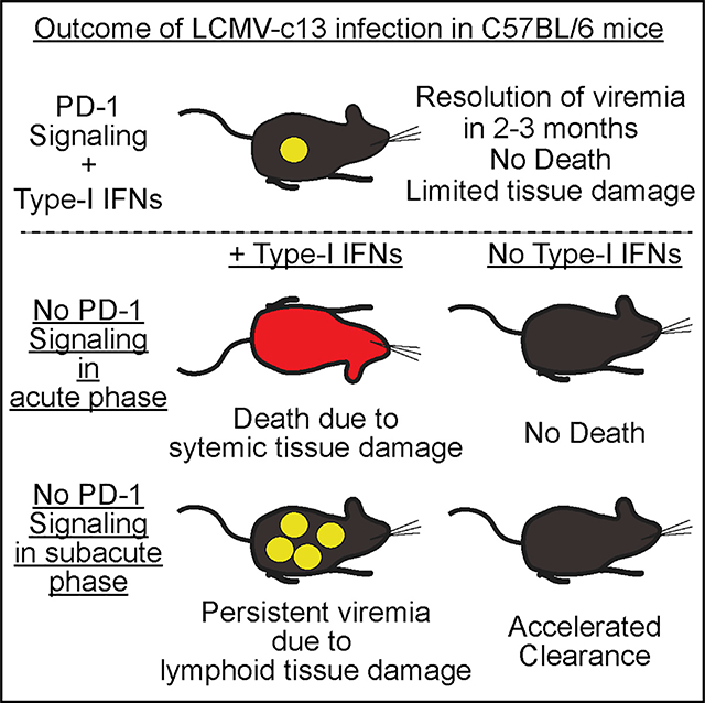 graphic file with name nihms-1544765-f0001.jpg