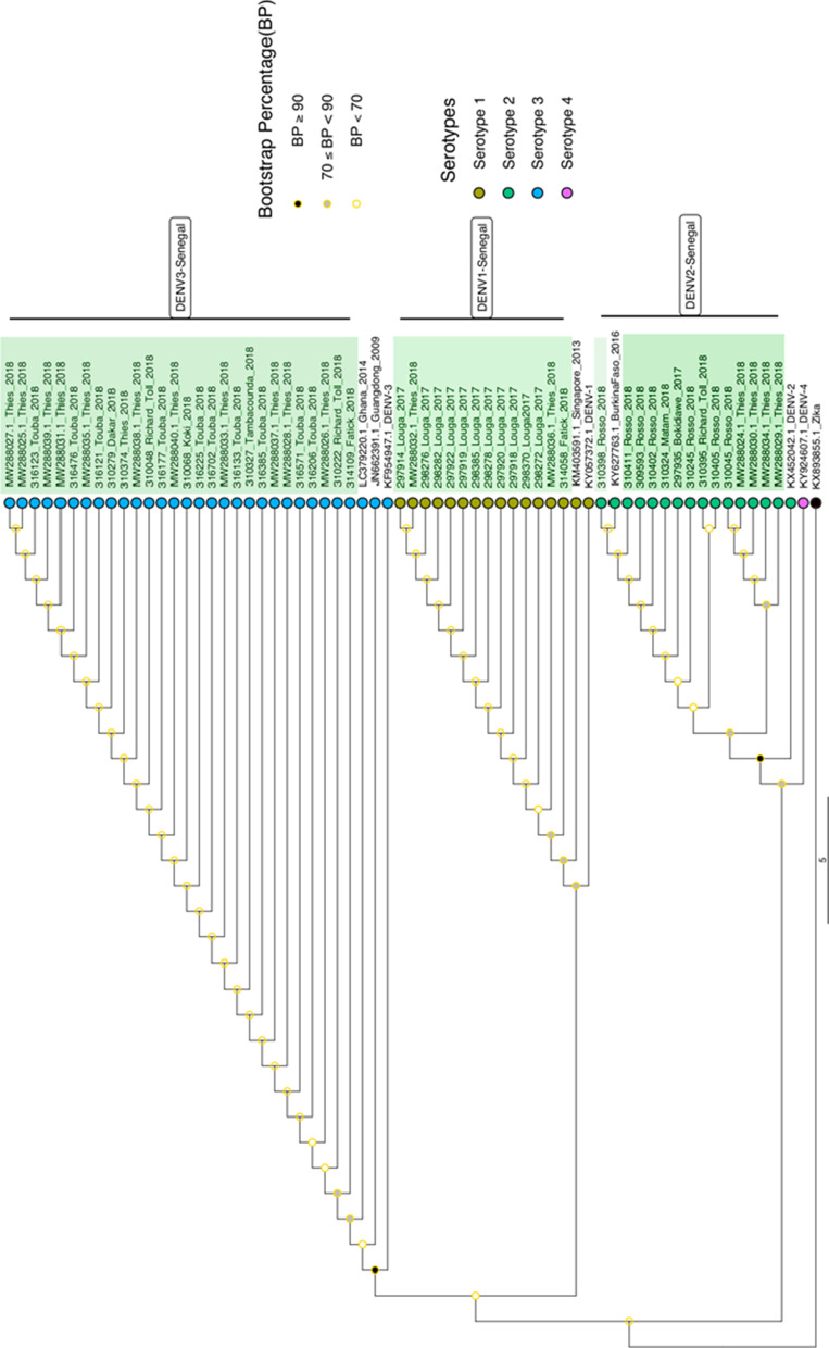 Fig. 3