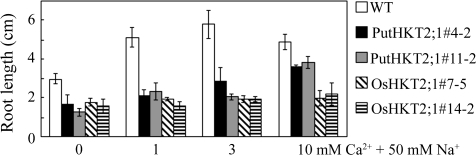 Fig. 10.