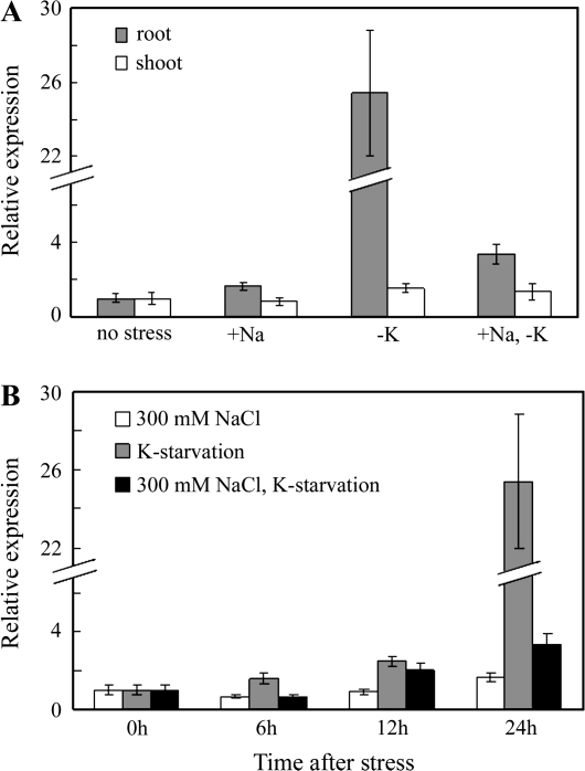 Fig. 4.