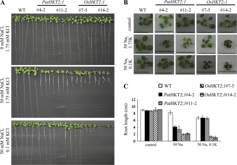 Fig. 9.