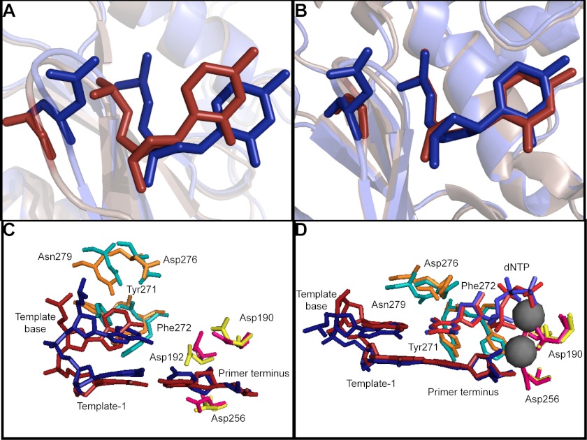 FIGURE 9.