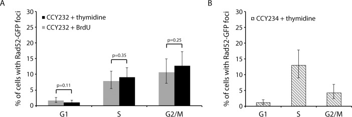 Figure 1—figure supplement 1.