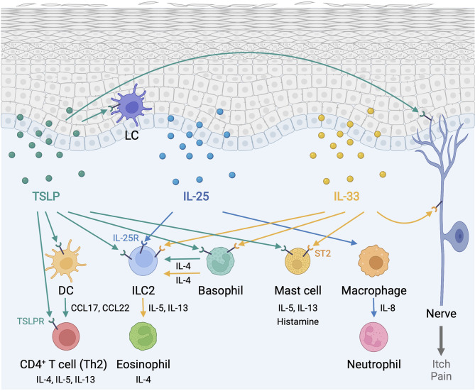 Figure 1