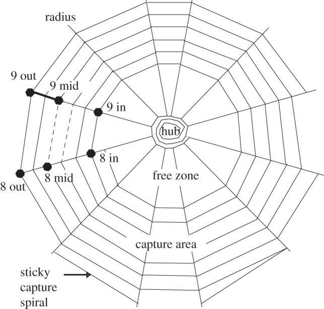 Figure 1.