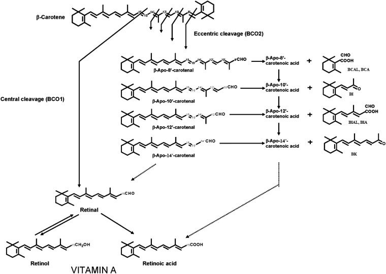 FIGURE 1.